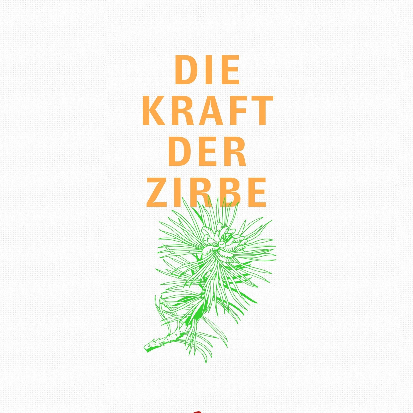 Buch die Kraft der Zirbe